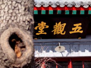 市辖通教寺