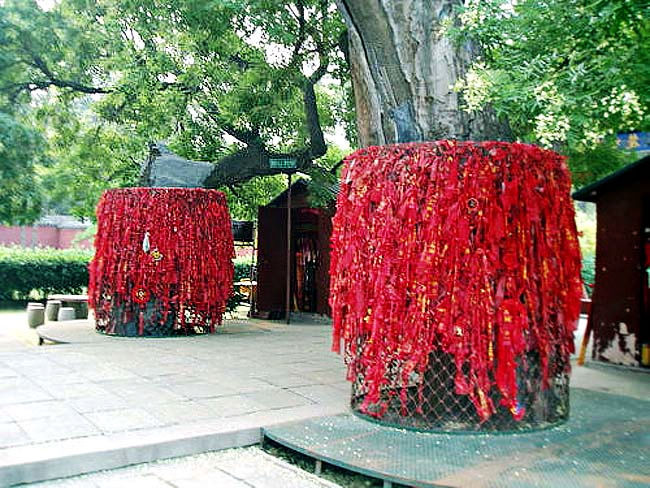 石家庄隆兴寺