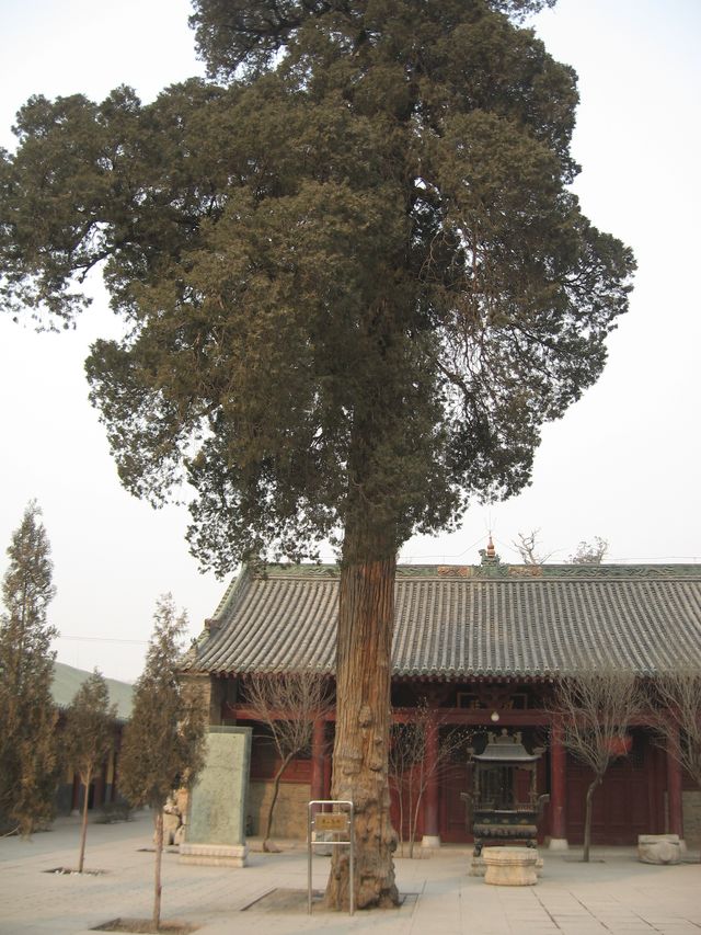 邢台玉泉寺