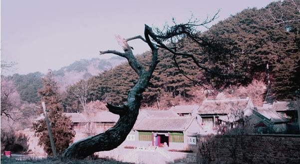 鞍山中会寺