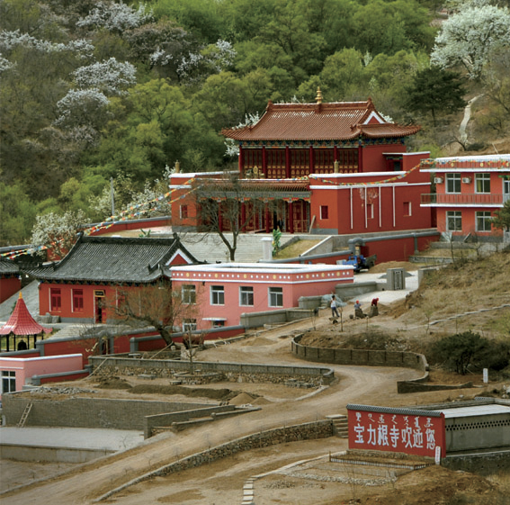 阜新白泉寺