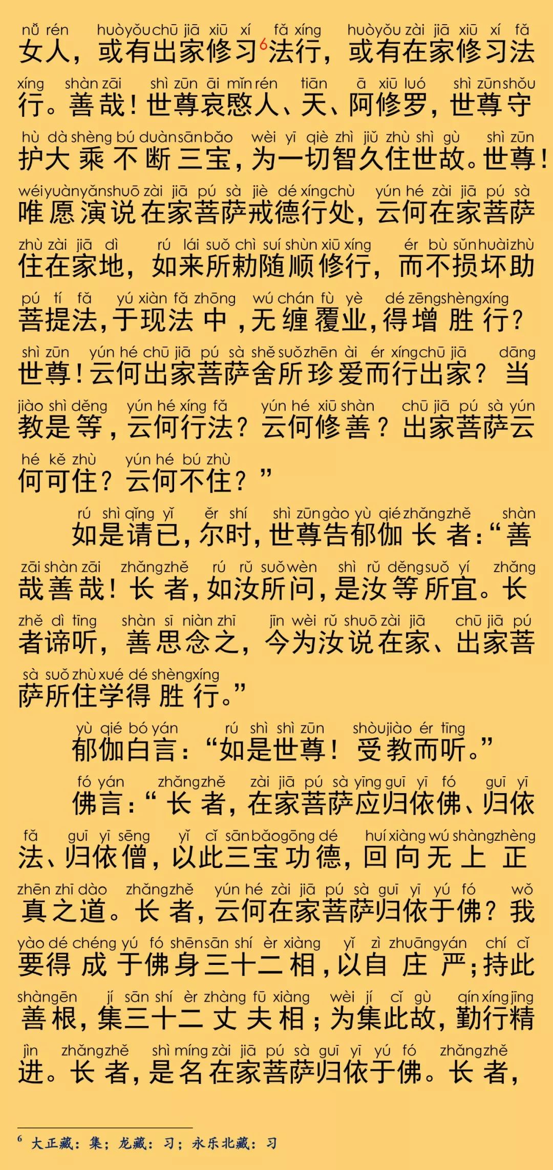 大宝积经陏伽长者会8