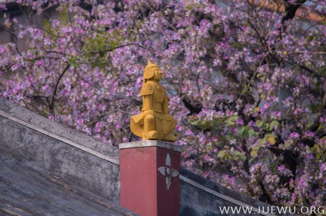 让罪业消失的方法就是「忏悔」