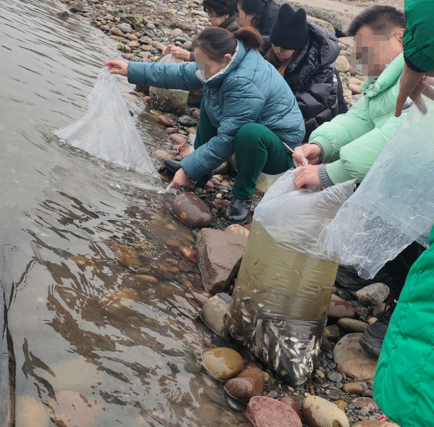 重庆放生现场图片