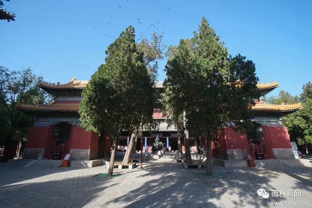 河北石家庄千年古刹 隆兴寺