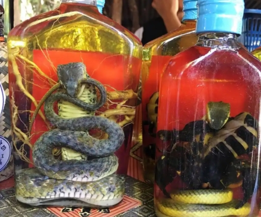 毒蛇泡酒