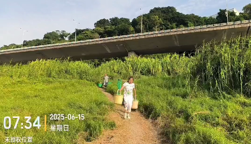重庆放生2025-6-15