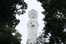 恭迎九月十九观世音菩萨出家日